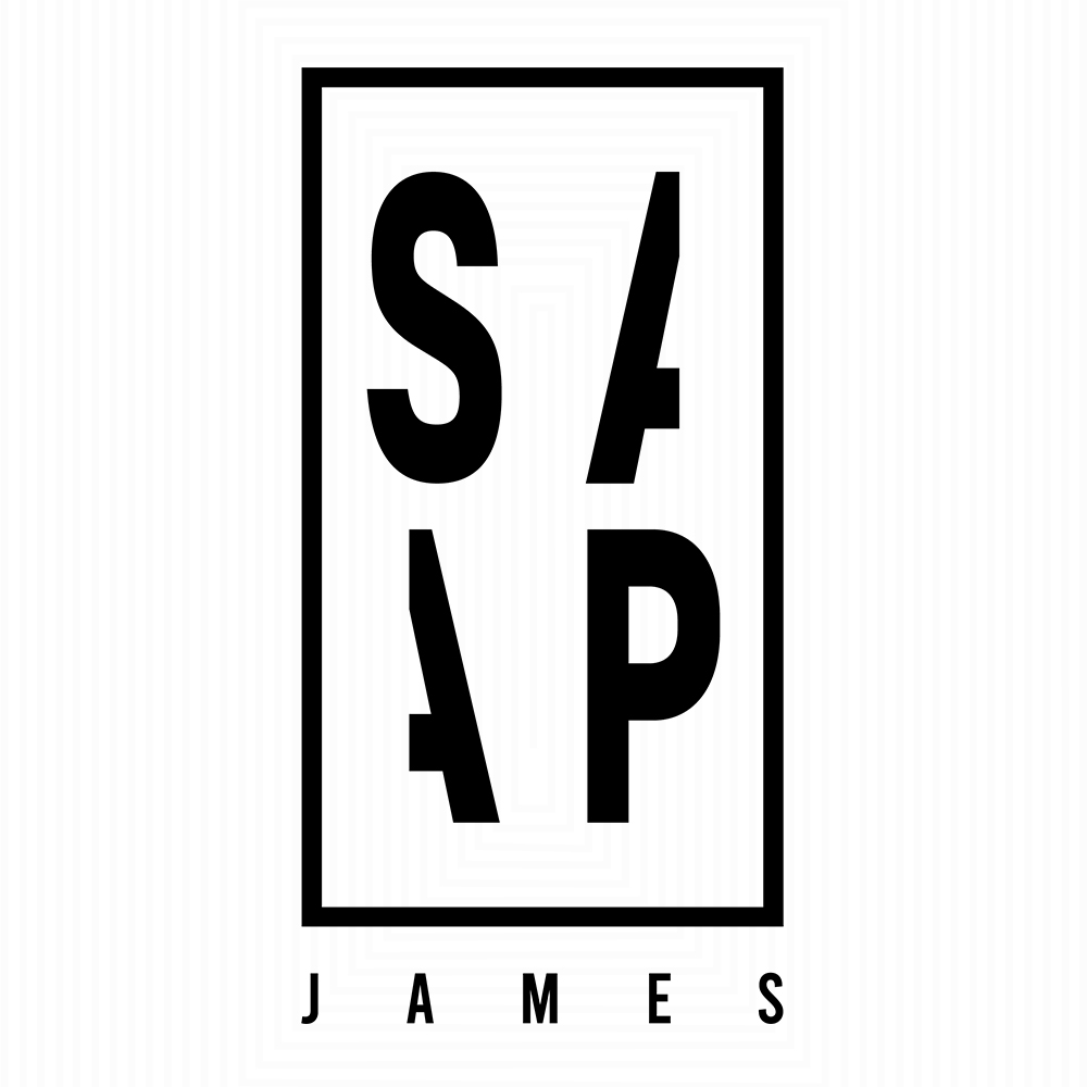 Professional Logo Conception